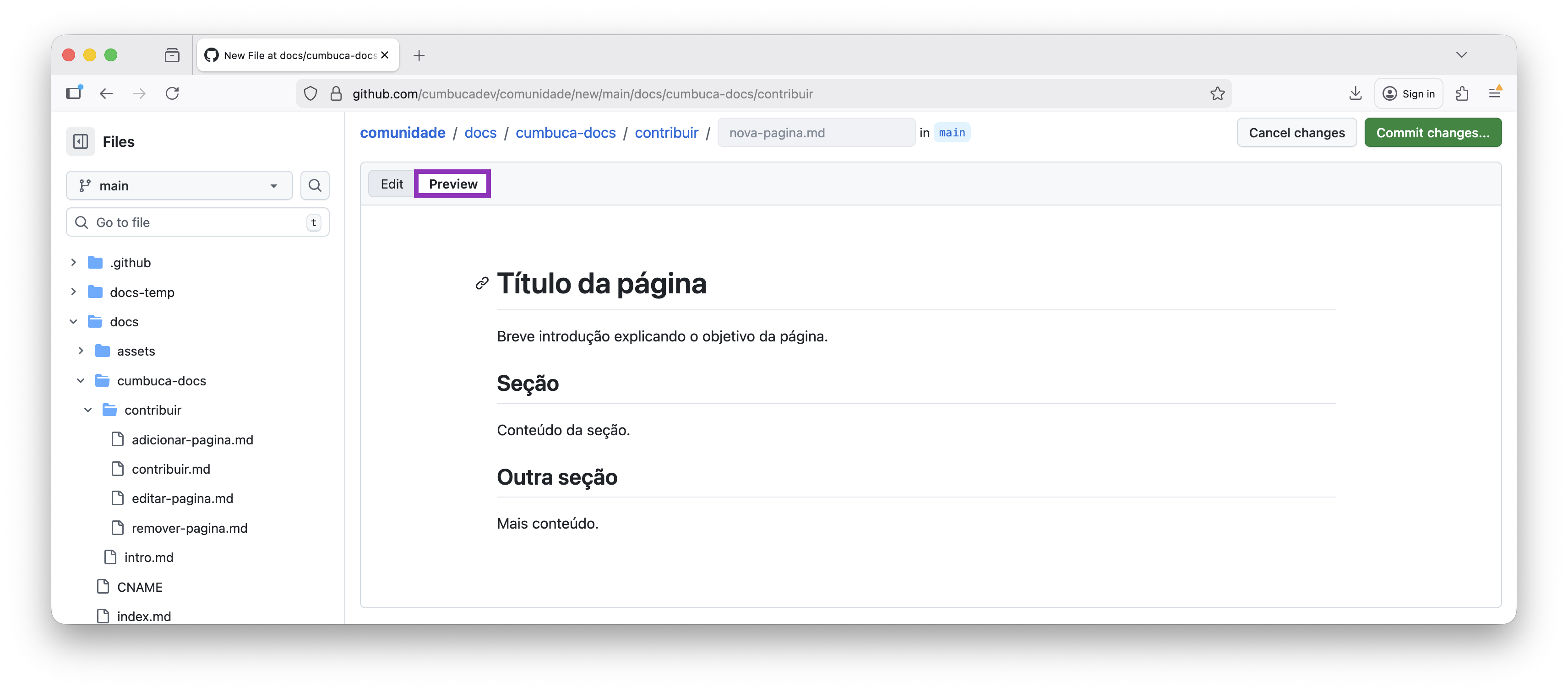 preview da nova página